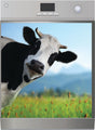 Peek-a-MOO Cow -Dishwasher Magnet