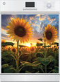 Golden Sunflower Field Sunset Dishwasher Magnet